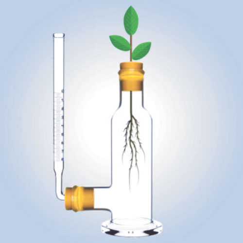 Apparatus For The Demonstration Of Osmotic Pressure, Pfefers Complete With Borosilicate Glass Jar